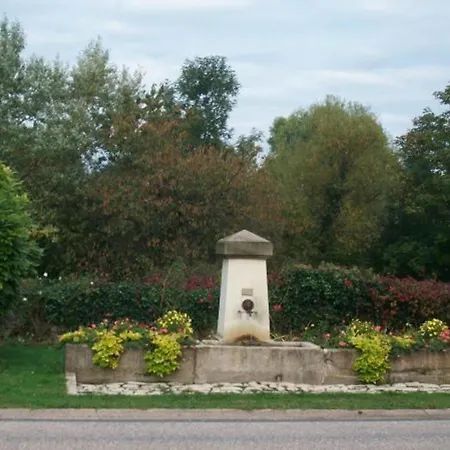 Spacieux Familial Avec Jardin Et Salle De Jeux, Proche De Center Parcs Et Des Vosges - Fr-1-584-45