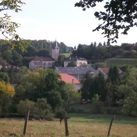 Ferienhaus Spacieux Familial Avec Jardin Et Salle De Jeux, Proche De Center Parcs Et Des Vosges - Fr-1-584-45 *