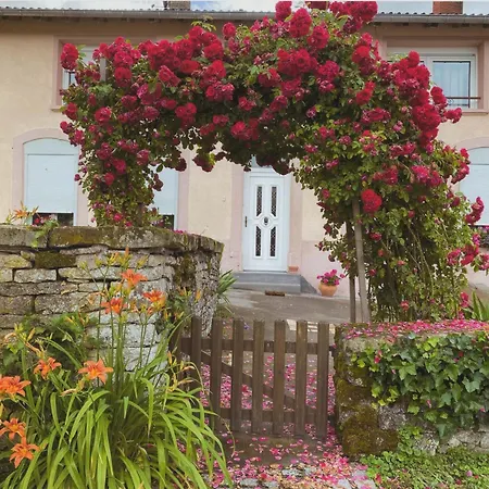Spacieux Familial Avec Jardin Et Salle De Jeux, Proche De Center Parcs Et Des Vosges - Fr-1-584-45 *